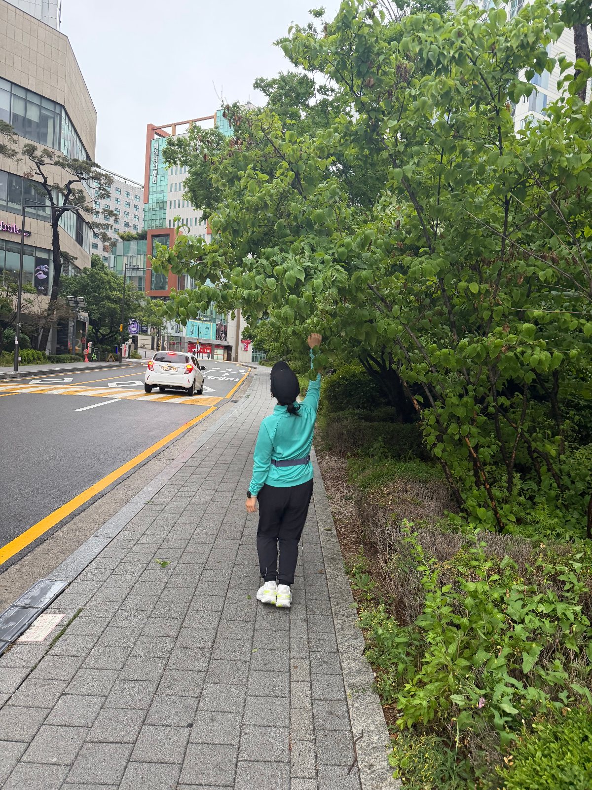 얼굴샷
